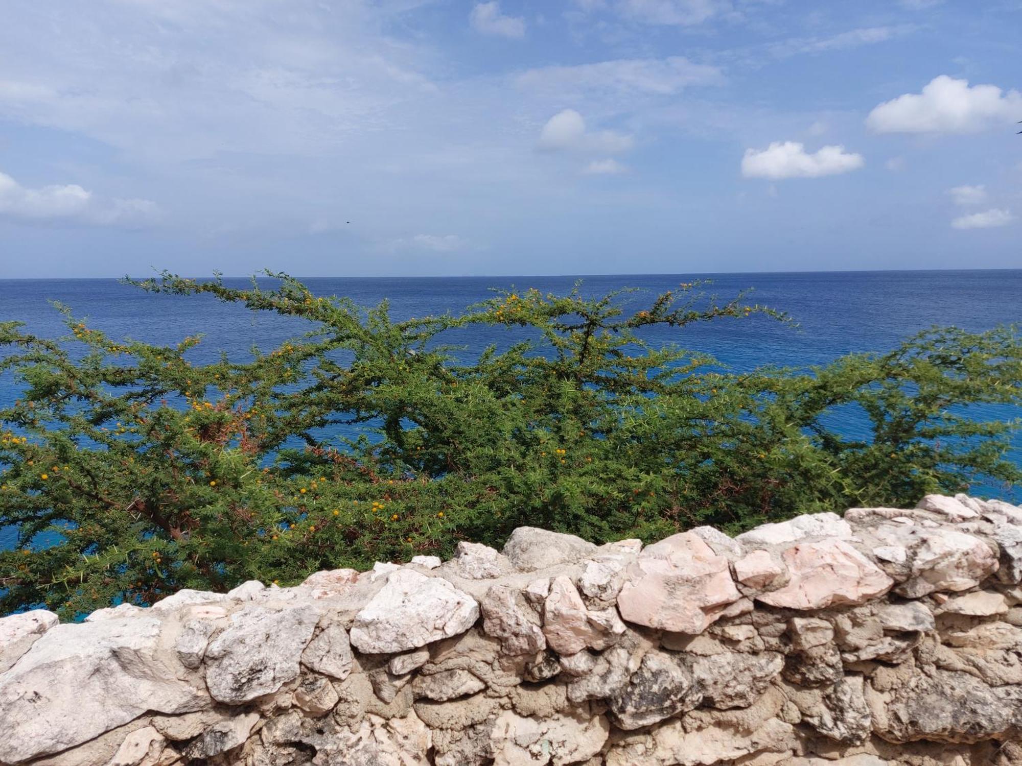 Appartamento Bon Bini Lagun Curacao Esterno foto