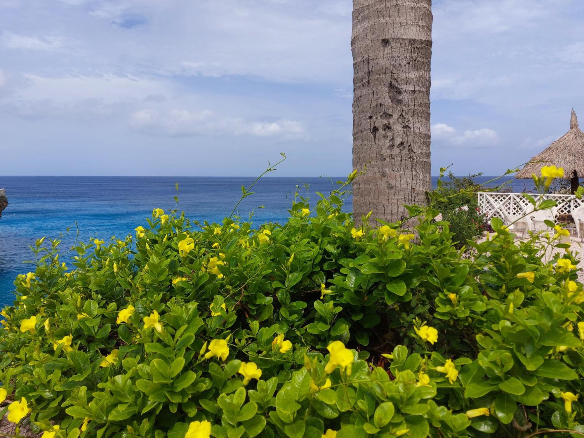Appartamento Bon Bini Lagun Curacao Esterno foto