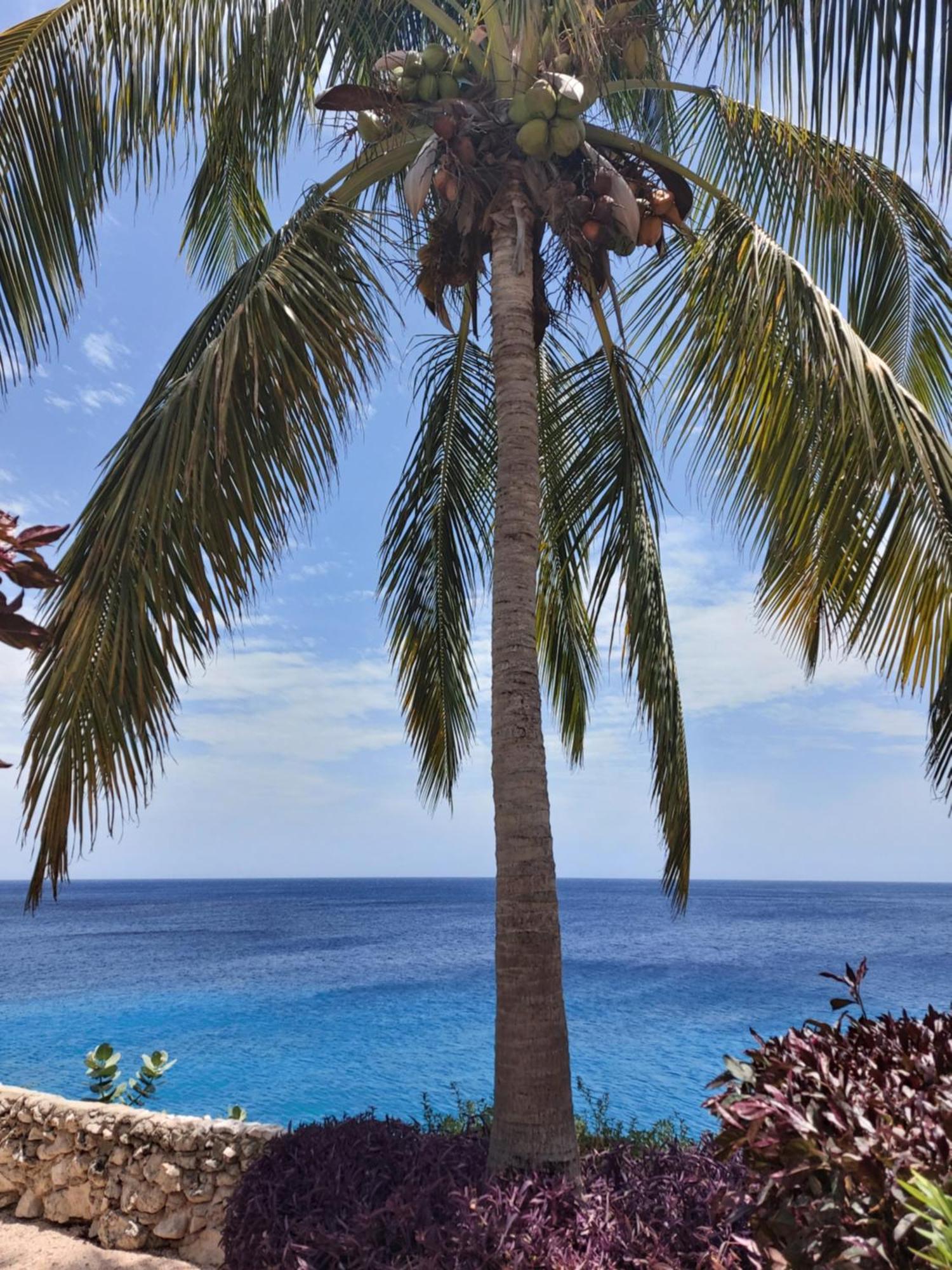 Appartamento Bon Bini Lagun Curacao Esterno foto
