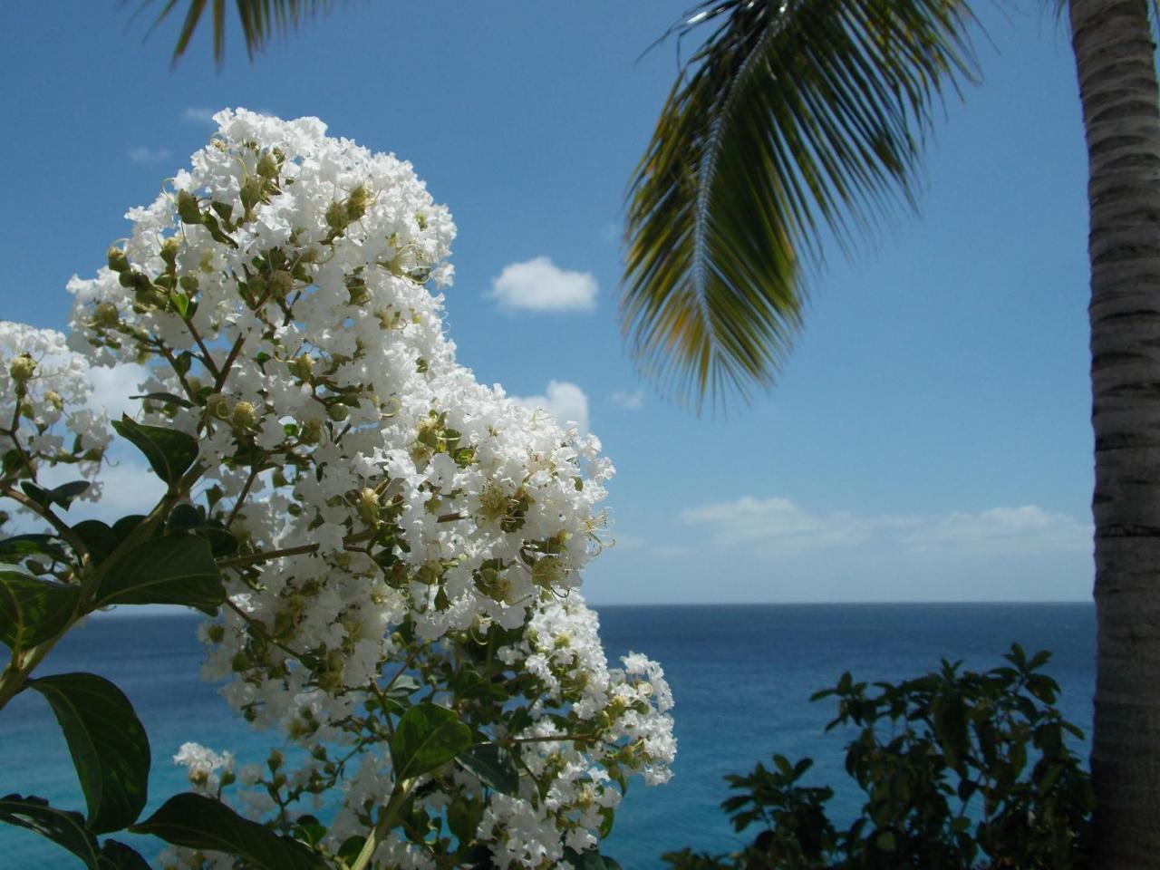 Appartamento Bon Bini Lagun Curacao Esterno foto