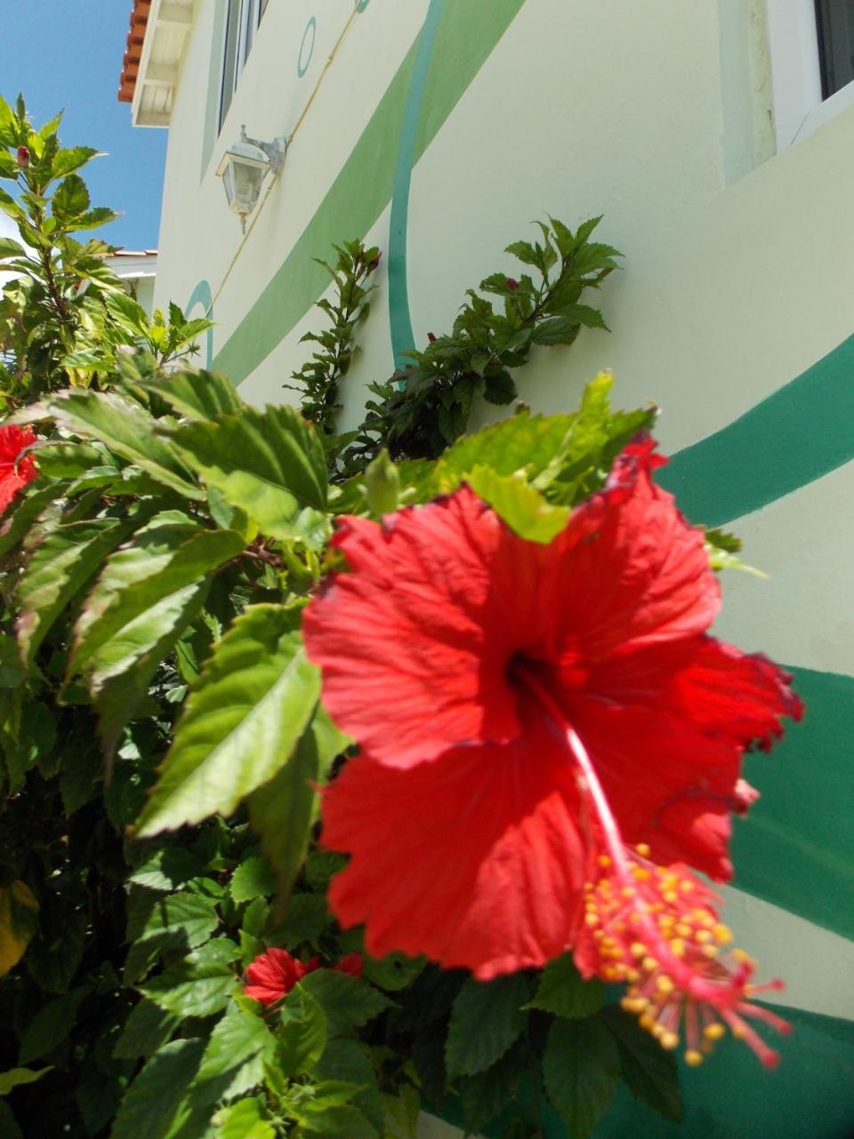 Appartamento Bon Bini Lagun Curacao Esterno foto
