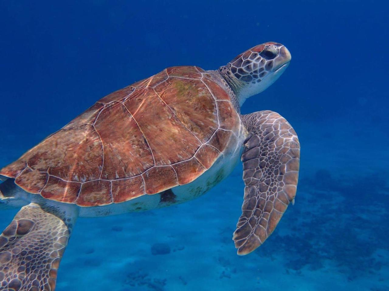 Appartamento Bon Bini Lagun Curacao Esterno foto